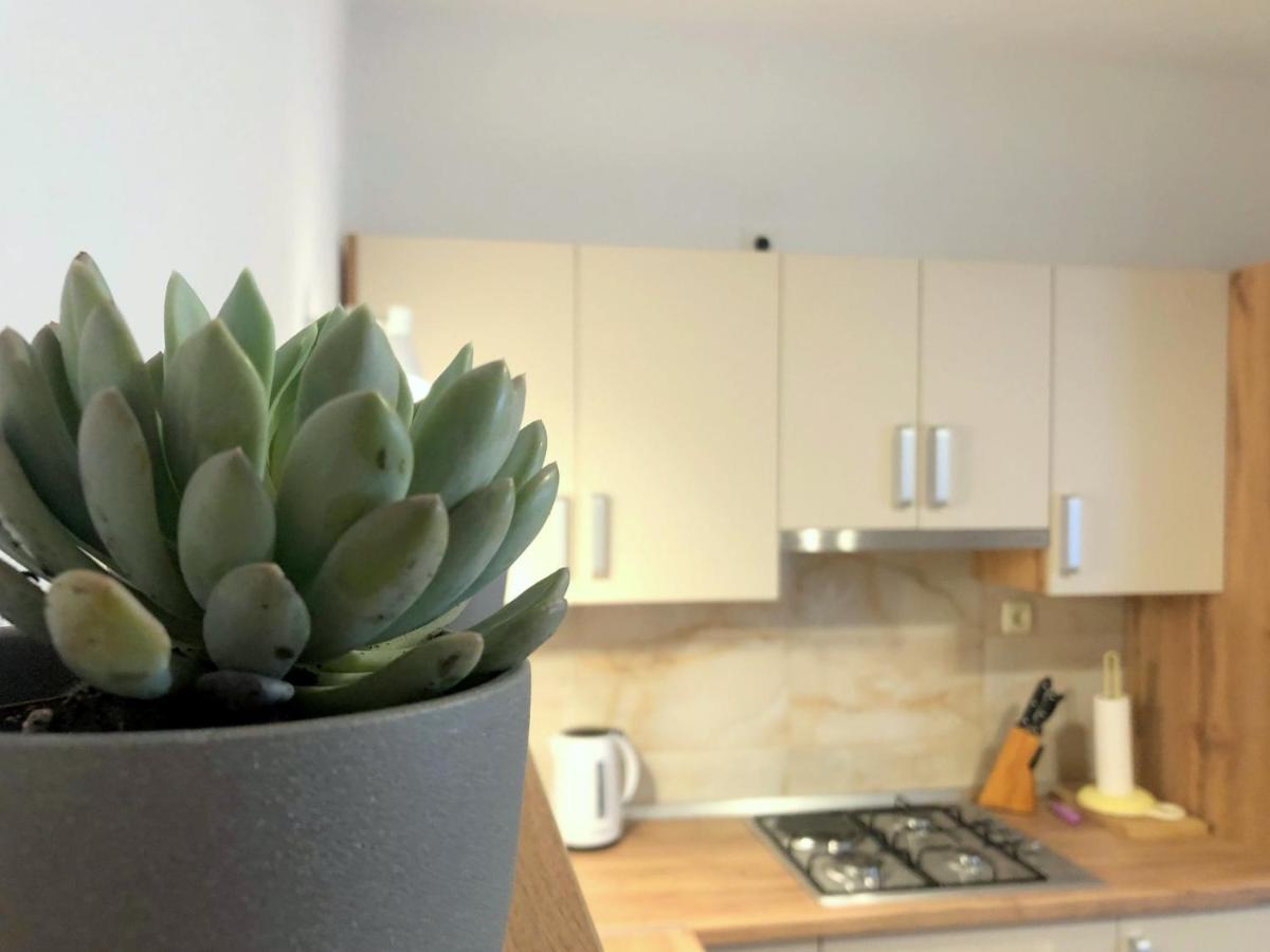 Zoro Apartments Palit Экстерьер фото